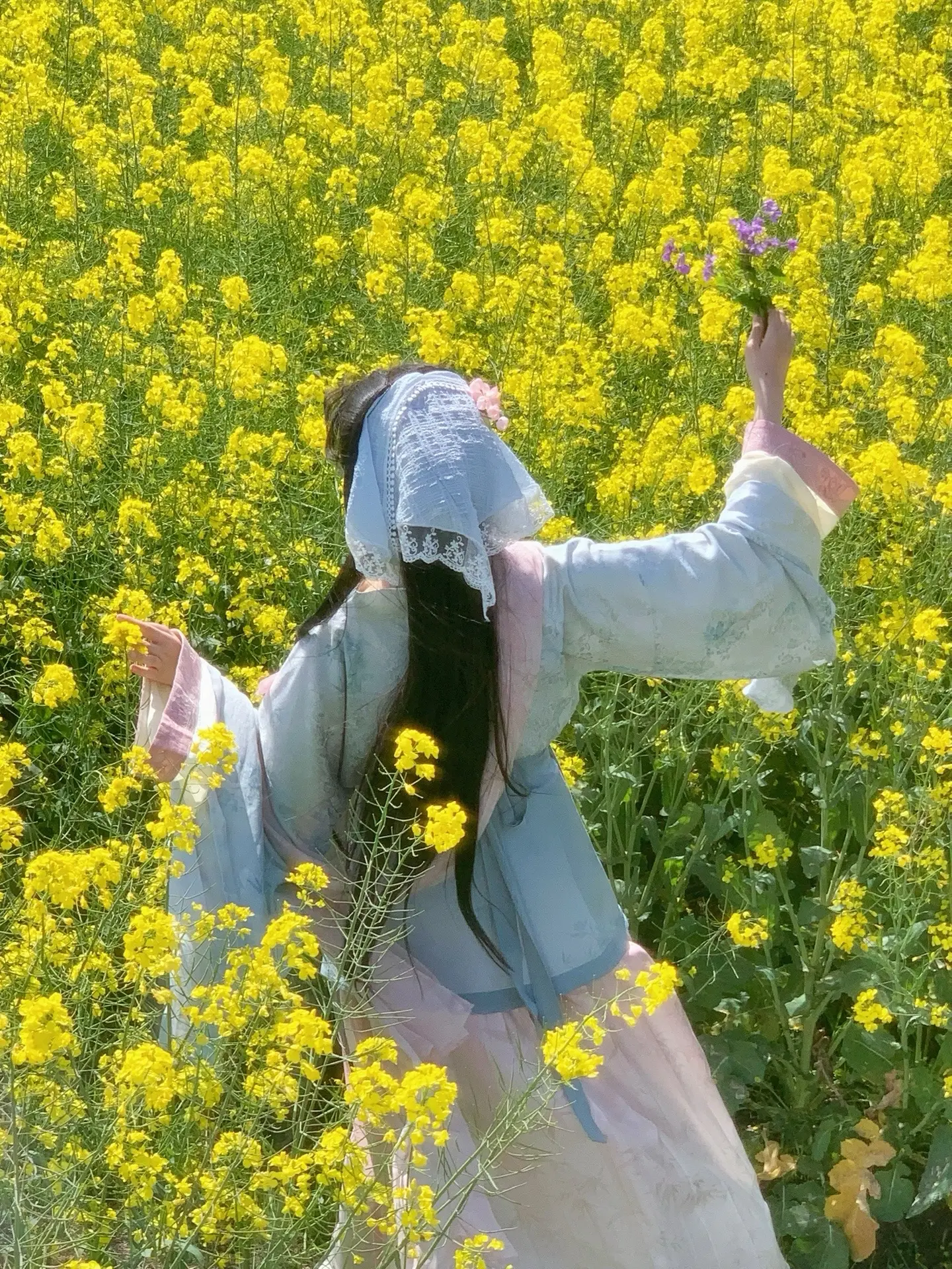 “飞入菜花无处寻”