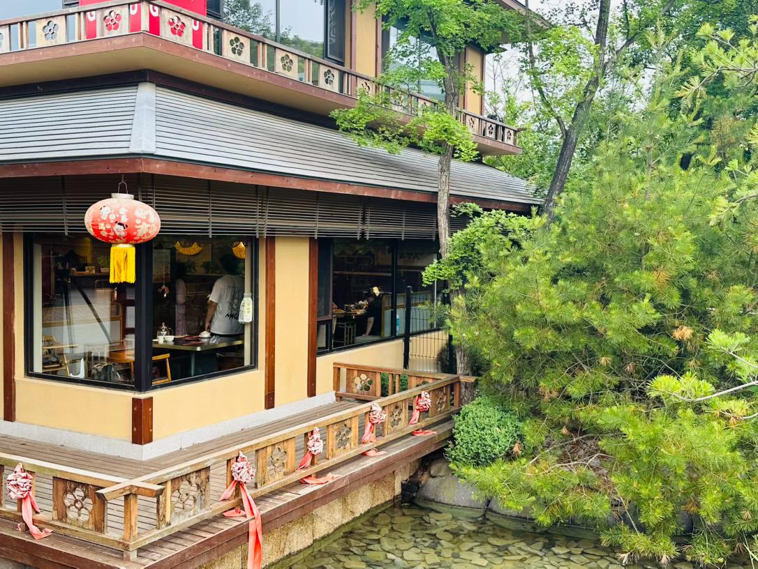 旅行 这地方的造景非常美，每个都长在我的审美点上。 大连