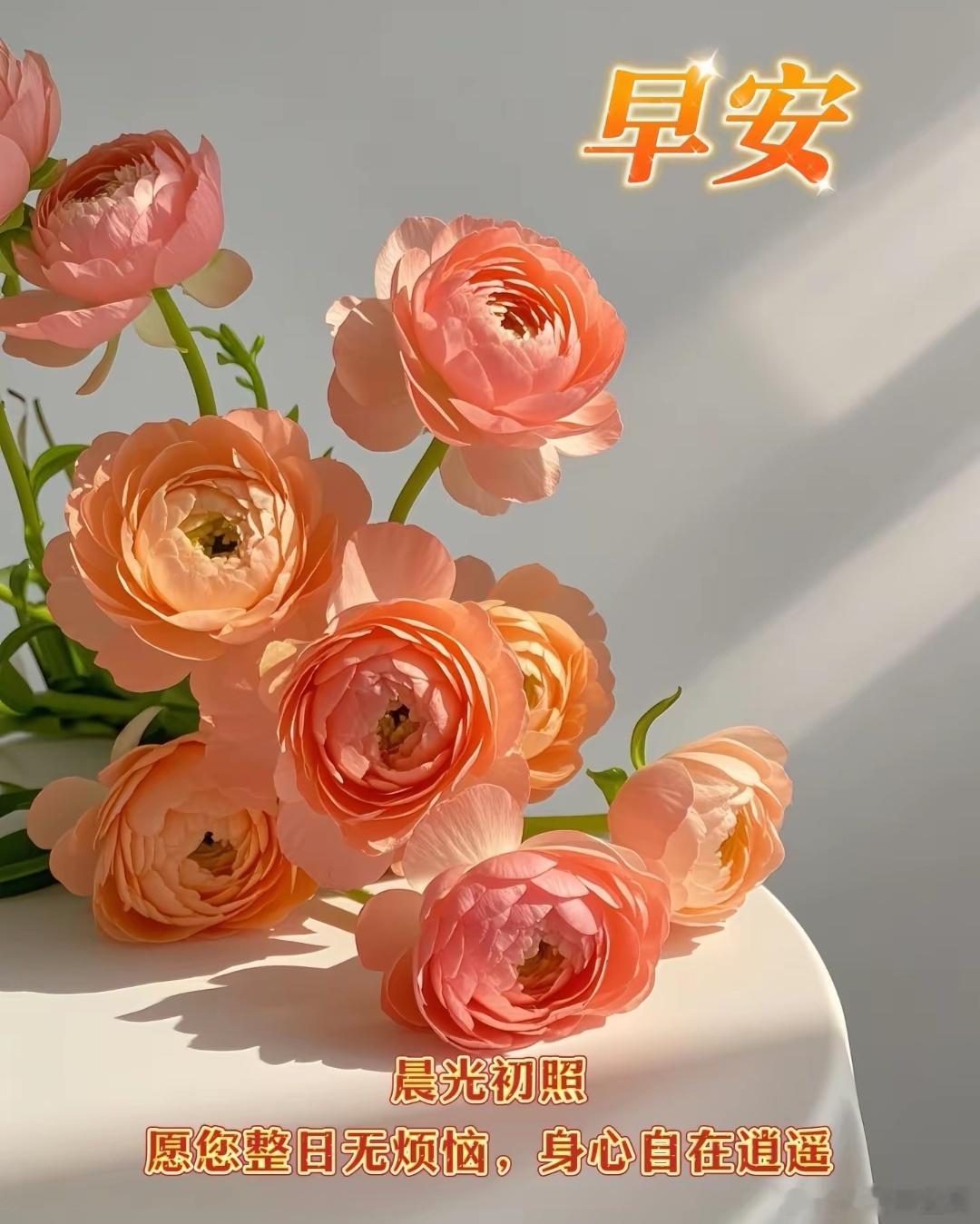 早上好[鲜花][爱你] ​​​