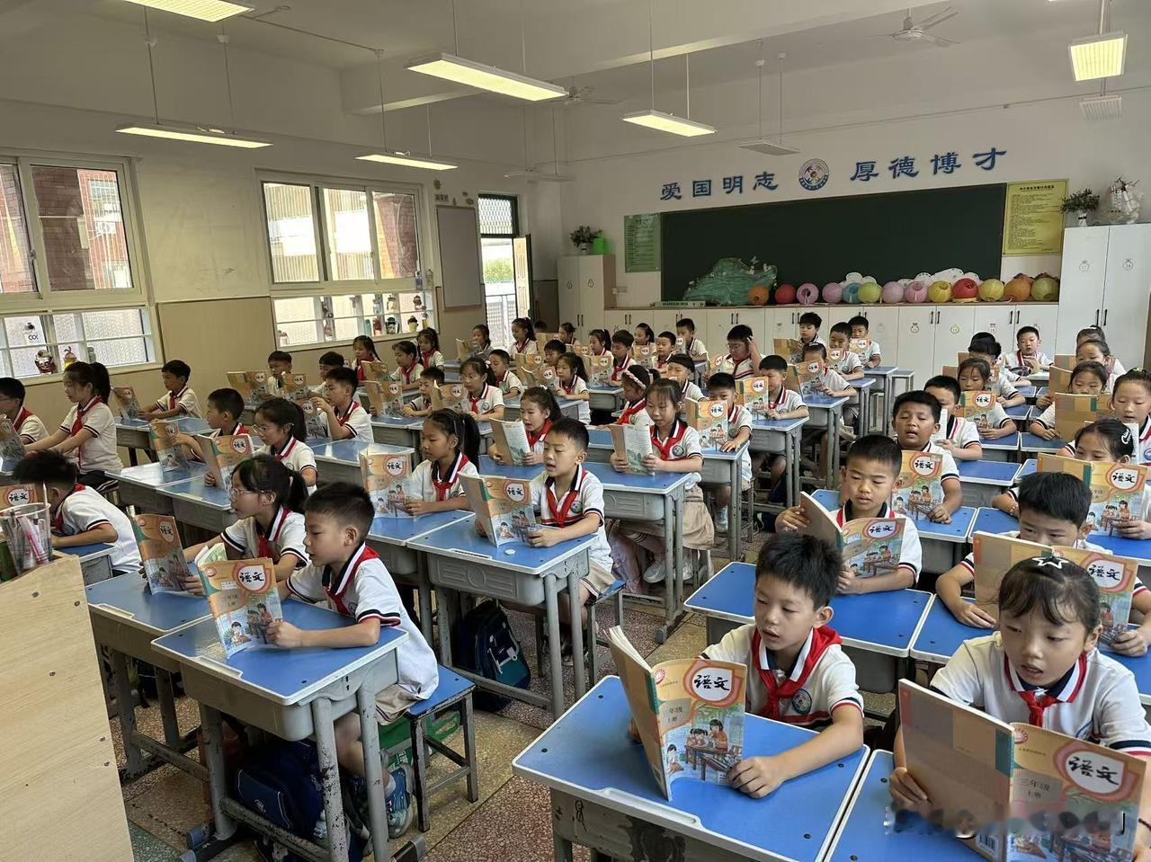第一张是河南的学校
第二张也是河南的学校
第三张是南方的学校