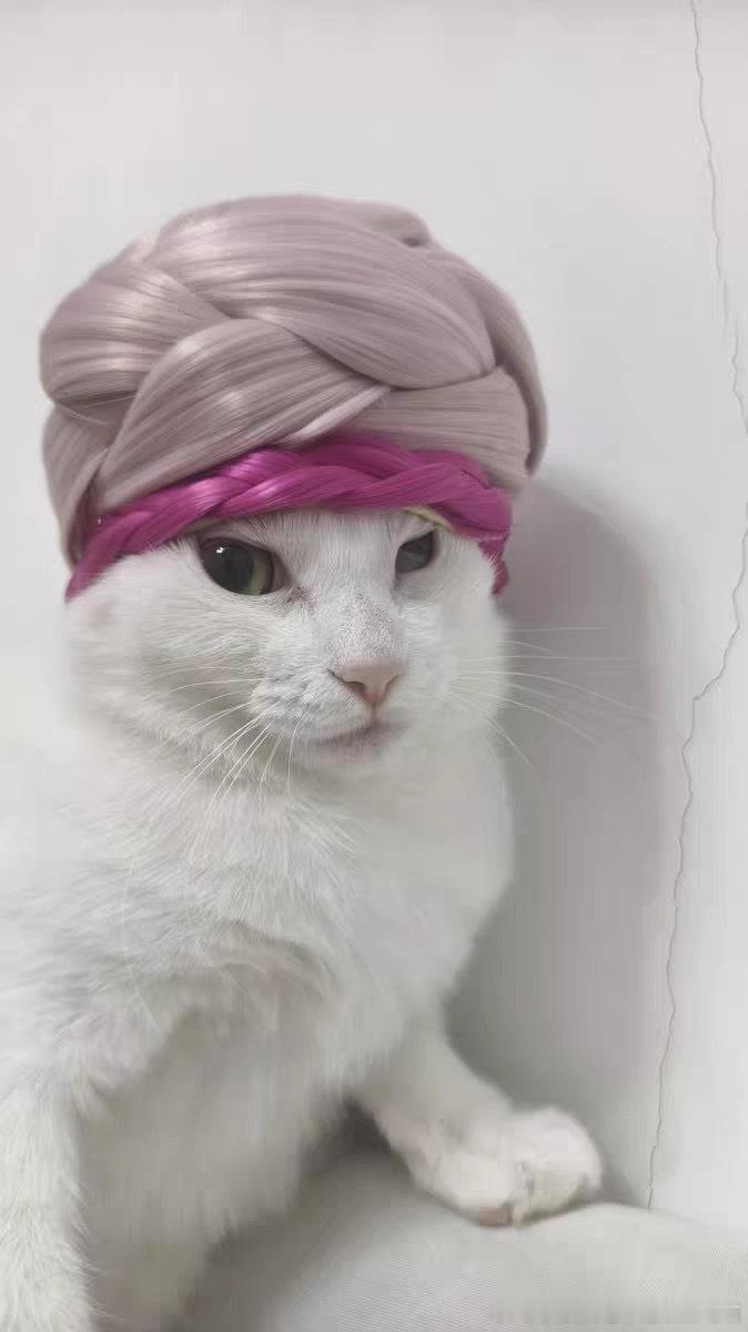 49640【丑猫】大婶 