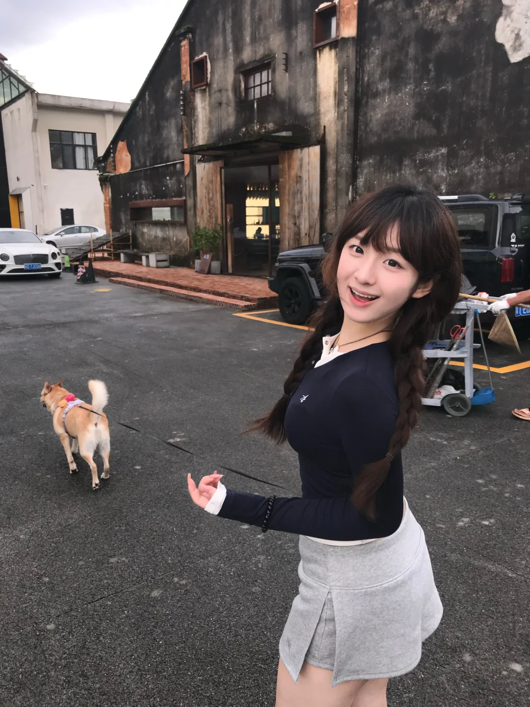 我的狗和不是我的桑塔纳