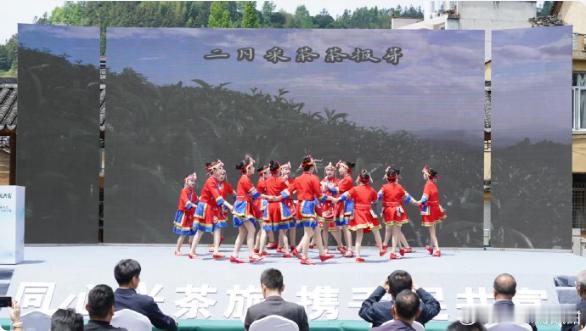 台州仙居这个乡一脚踏三市促共富协作春染茶山、茶香四溢，台丽温茶文旅共富大会暨斗茶
