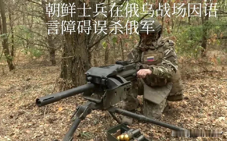 朝鲜士兵因语言障碍误杀俄军。
乌克兰称，由于通讯问题造成混乱，朝鲜“恐惧