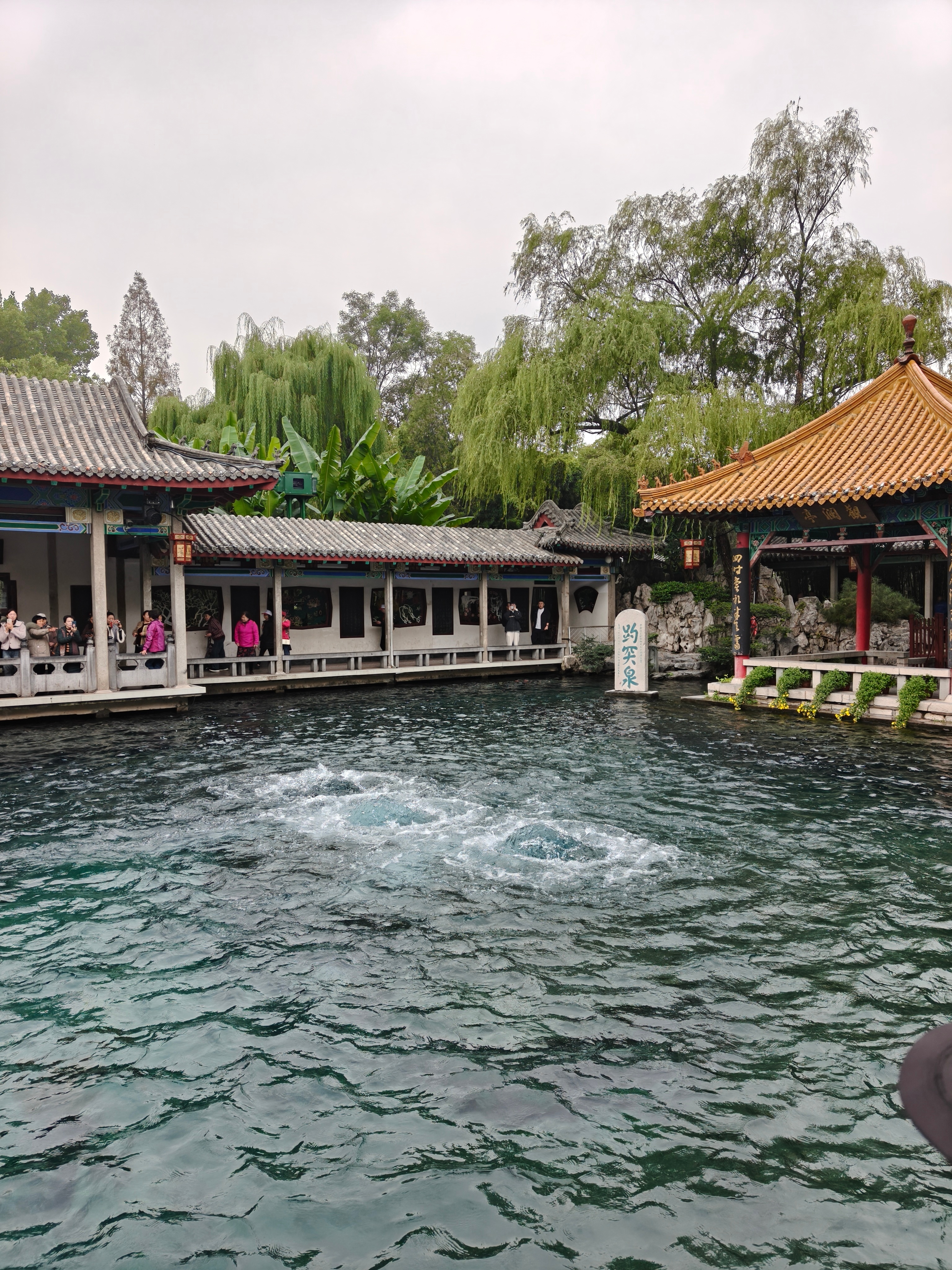 趵突泉的水挺旺的。  ​​​