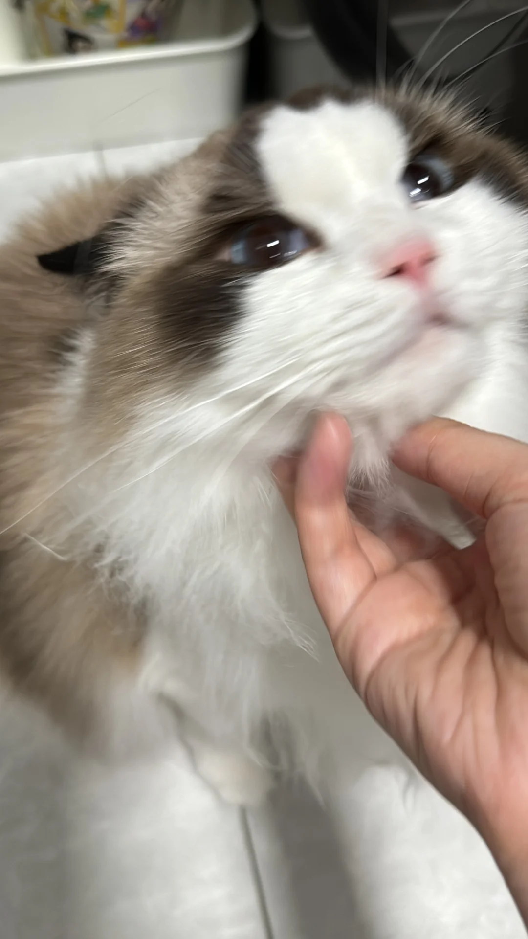 我的🚽搭子