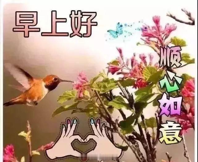 周五早上好新的一天，新的开始，各位新老股友早上好五路财神集体集合给股民散财了，走