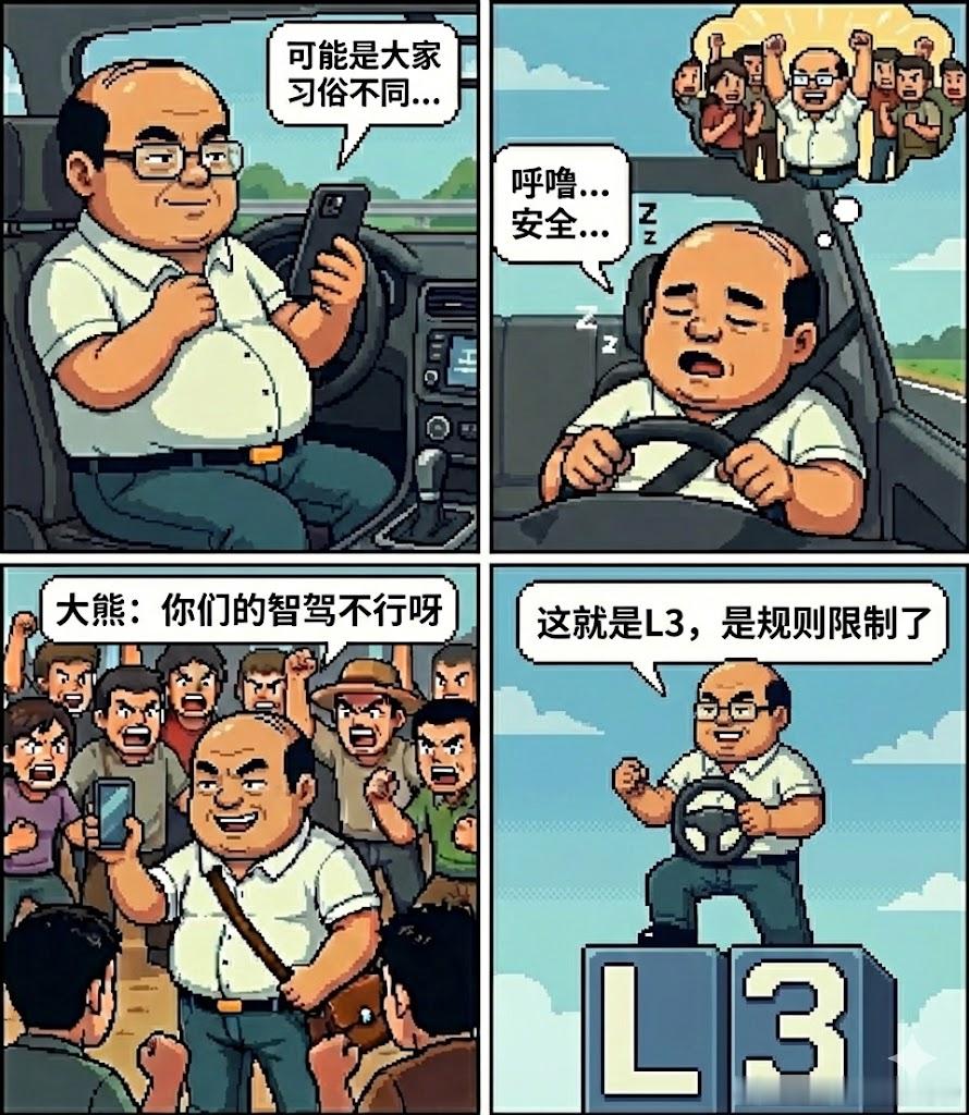 《你们的智驾不行呀》 