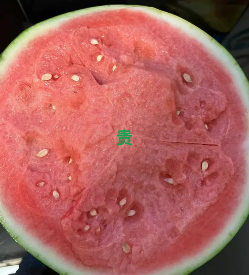 今年的西瓜真是看不懂
7月便宜的只要几毛
8月贵的要好几块
再这么搞，吃西瓜也变