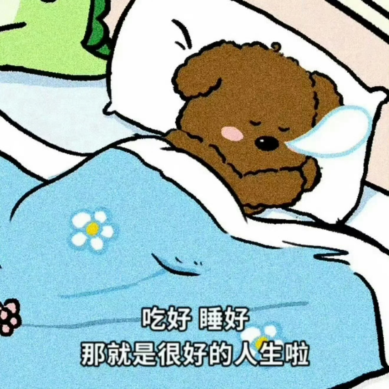 薛之谦xzq晚安💤 