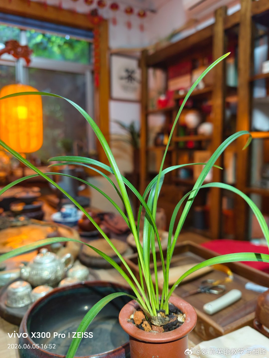 喝茶在左，是温柔的提醒；忙碌在右，是生活的底色。你不必选其一，你只需在两者之间，