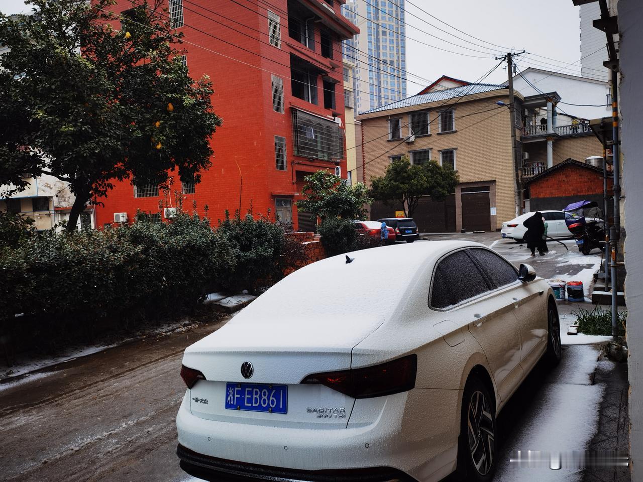 朔风卷地冻云斜，万树霜枝裹素纱。
鹊影无踪迷皓宇，梅魂有迹隐瑶华。
冰封巷陌少行