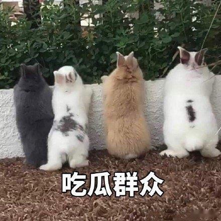 刚收到一个比较熟的瓜：某新势力车企，内部大调整。某海外高管调回国内任重要职位。不