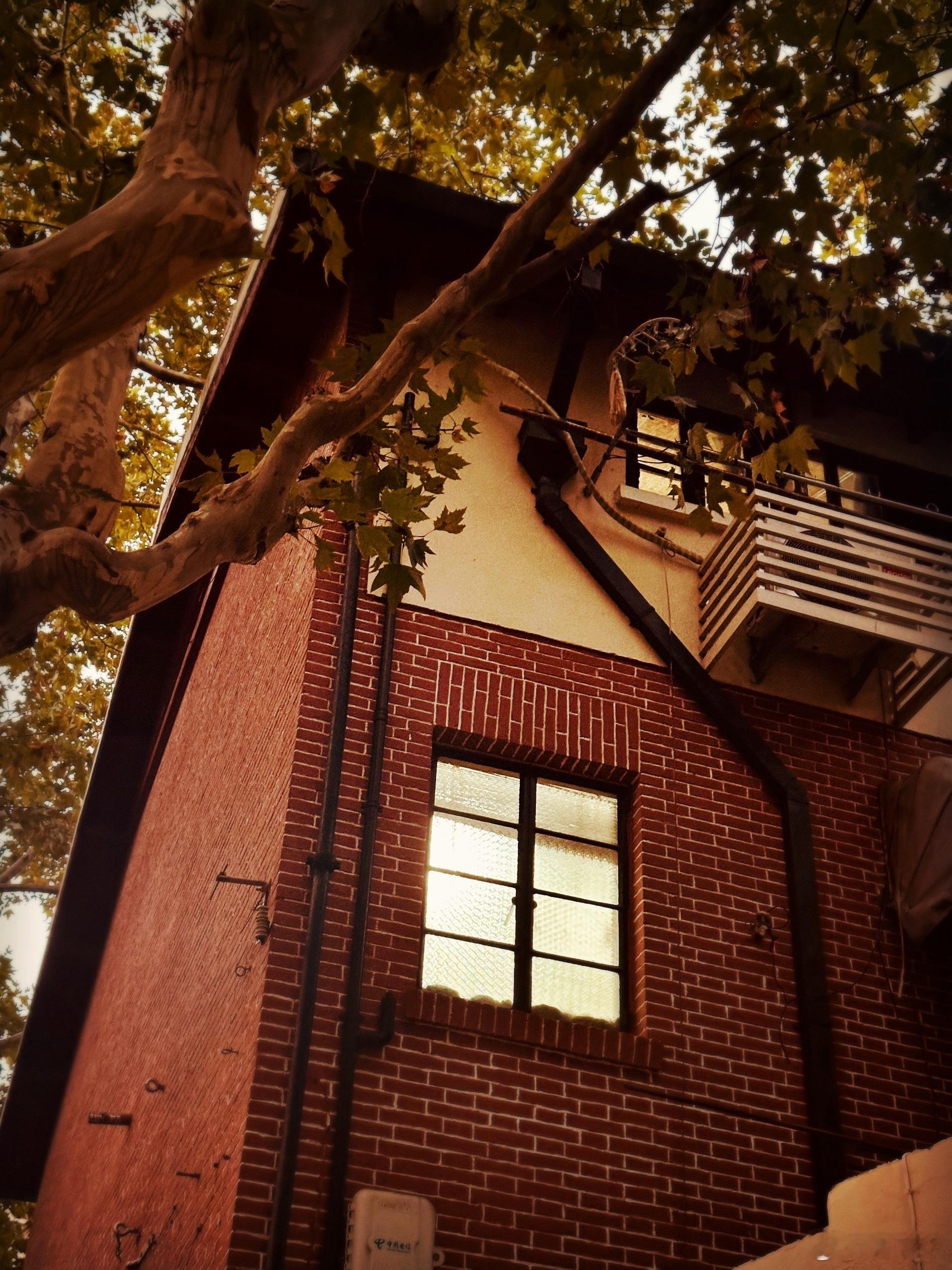 朋友赠我六只香橼，佛意的黄色。斗室煨了半日秋阳，便满室香橼的芬芳。令人安静暖和的