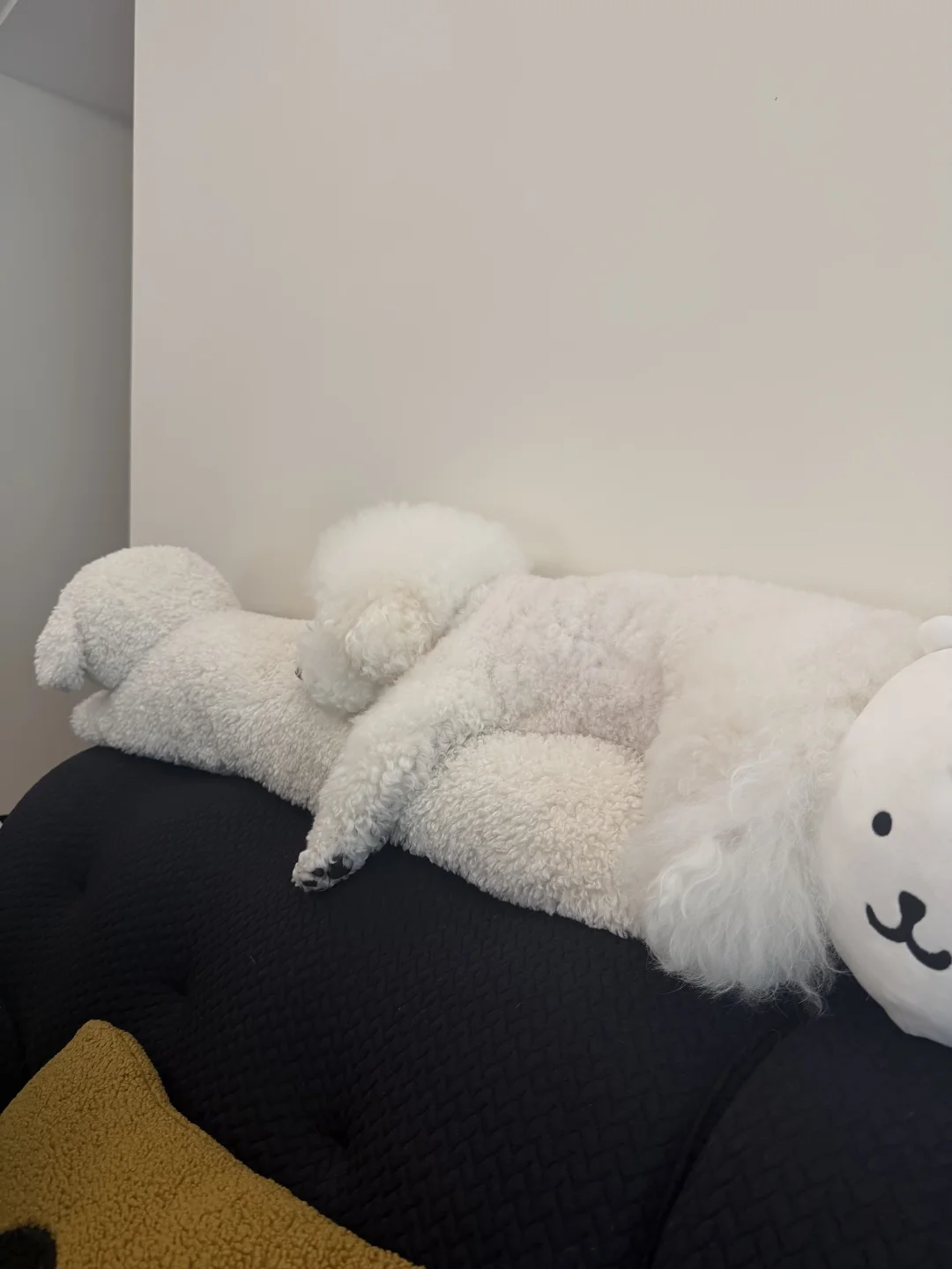 叠叠狗