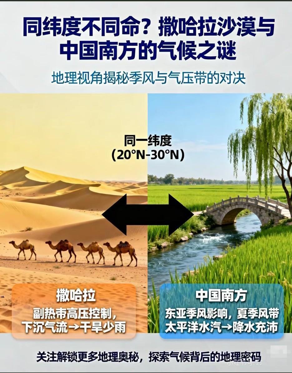 同样的纬度，截然不同的命运！[大笑]在20°N-30°N纬度带，撒哈拉沙漠年降水