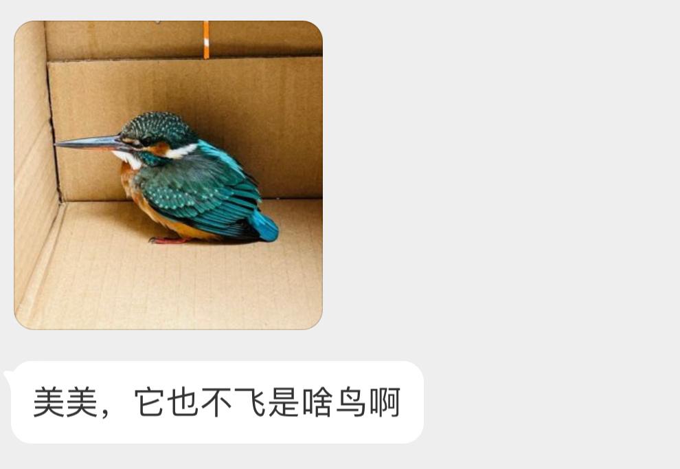 送分题环节～课代表何在！ 大声说出它滴名字 ​​​