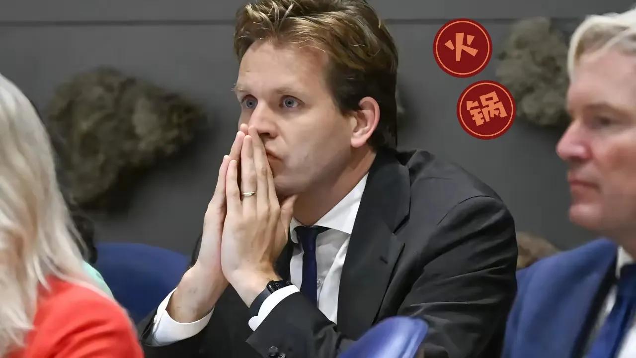 12月17日，中方终于出手了，荷兰没收中企股份尝到后果！
当天中方正式发布对原产