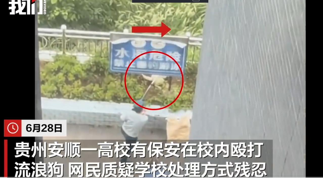 [666]舆论彻底跑偏了！贵州安顺一高校，保安在校内殴打捕捉流浪狗，视频传出后引