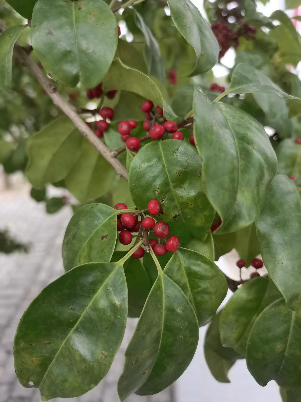 给2026的自己写句话祝自己和家人身体健康，万事如意，心想事成。