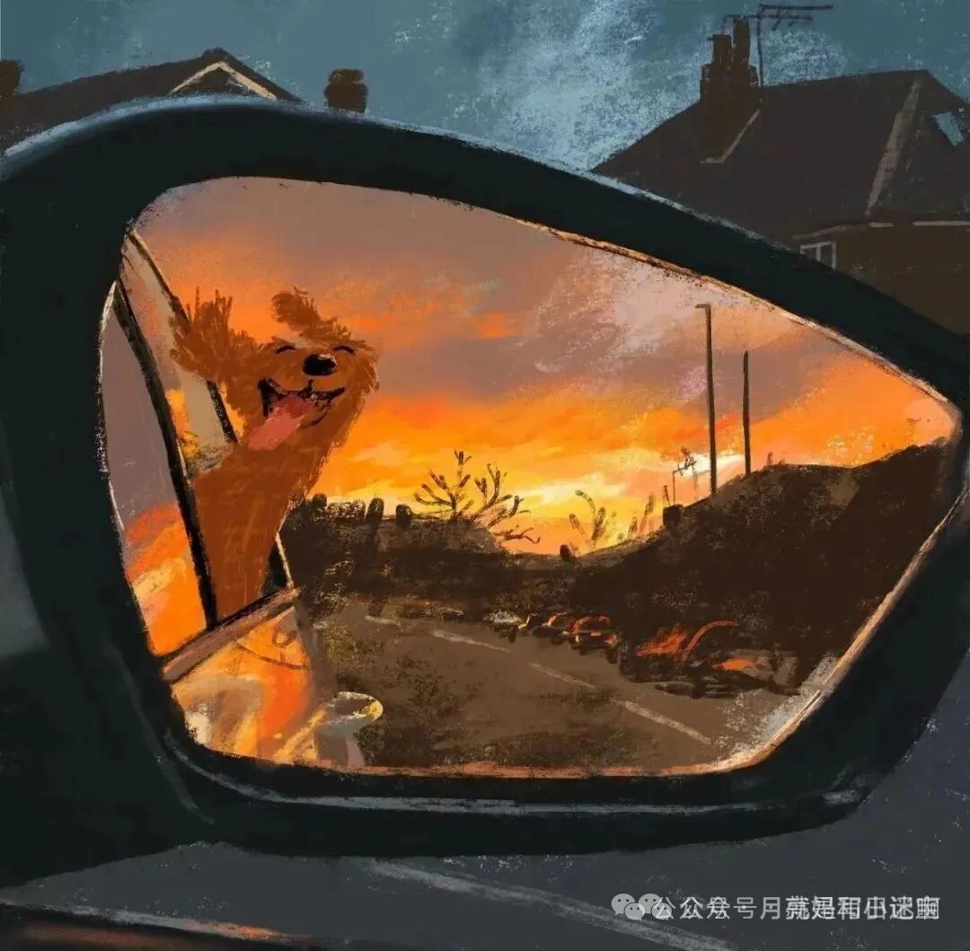 能不能把家里萌宠可爱照片发出来