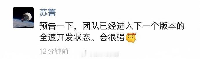 表示，HSD 进入下一个版本全速开发阶段，会很强。期待。地平线308_IO新能源