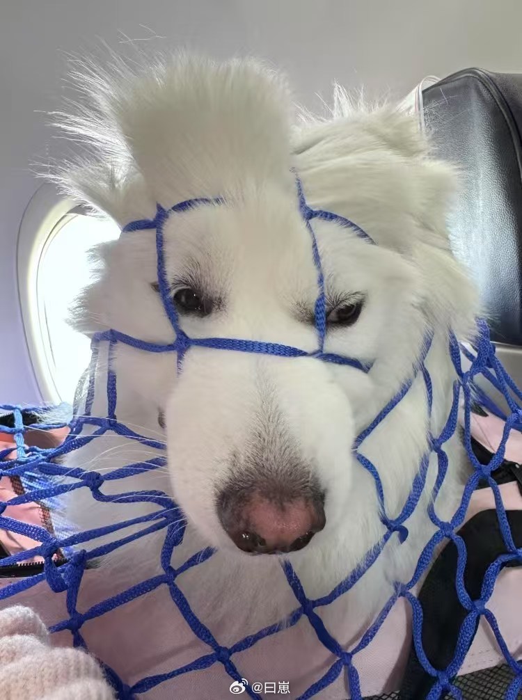 我靠！！我发现我已经很久很久很久没吃过辣条了？今年都快过一半了好像吃的次数没超过