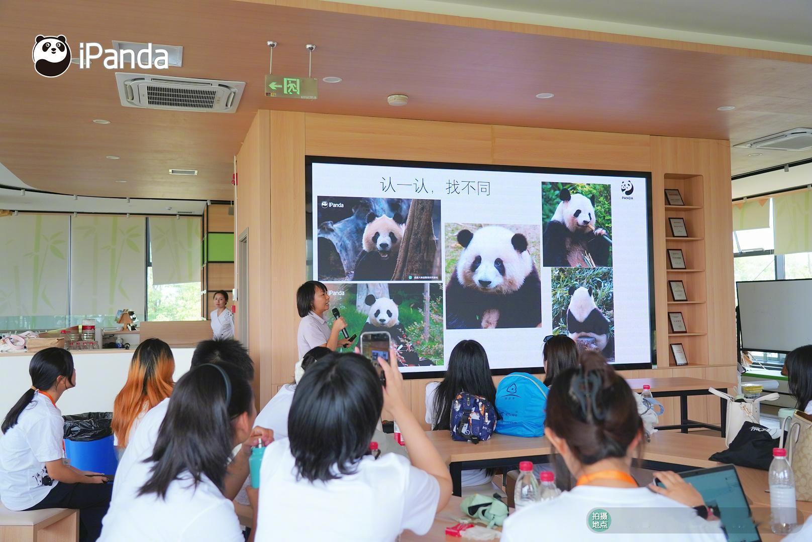 6月13日，“第十届两岸学生大熊猫保育体验营”活动第二天，两岸营员参观了熊猫美术