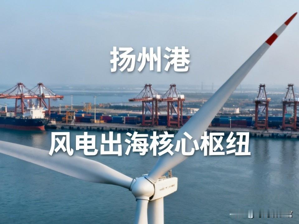 太骄傲！央视点名扬州，大风车驶向全世界       

 土生土长扬州人，亲眼见