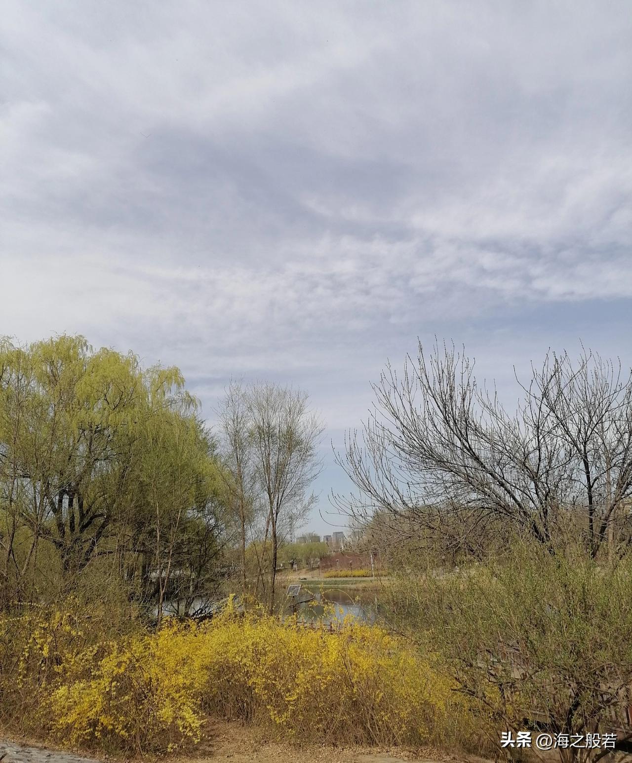 别说喝凉水都长肉，这么吃，我就不信会肥胖！

今日份晚餐，水煮菜心，蒸南瓜，豆腐