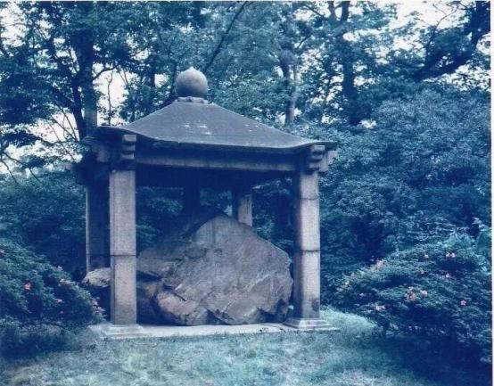 中方这次不再是呼吁，而是下达通牒！日本必须立即归还我国文物！

对于中日之间的文