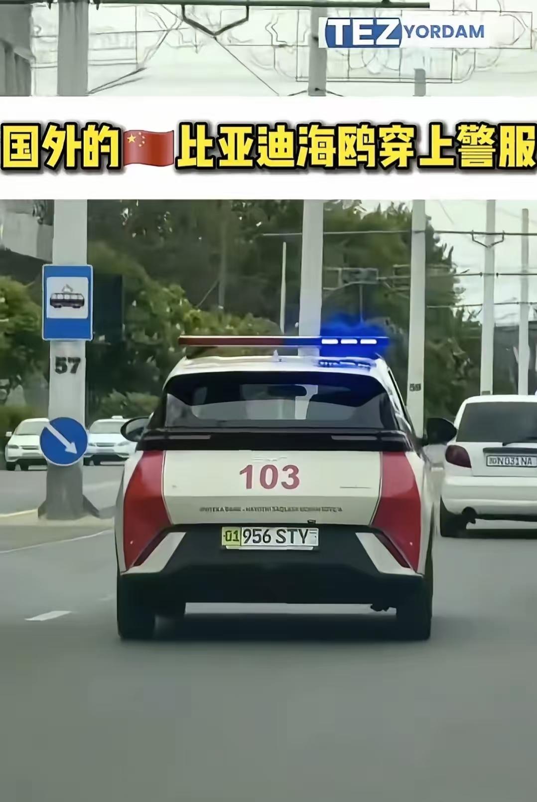 意外发现，比亚迪居然在国外穿上警服了，而且据我所知，至少已经有三个国家的警察使用