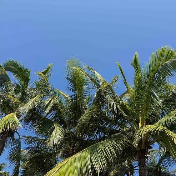 公共卫生硕士李小松履新
 
12月11日，今年50岁的李小松硕士履新。
 
李硕