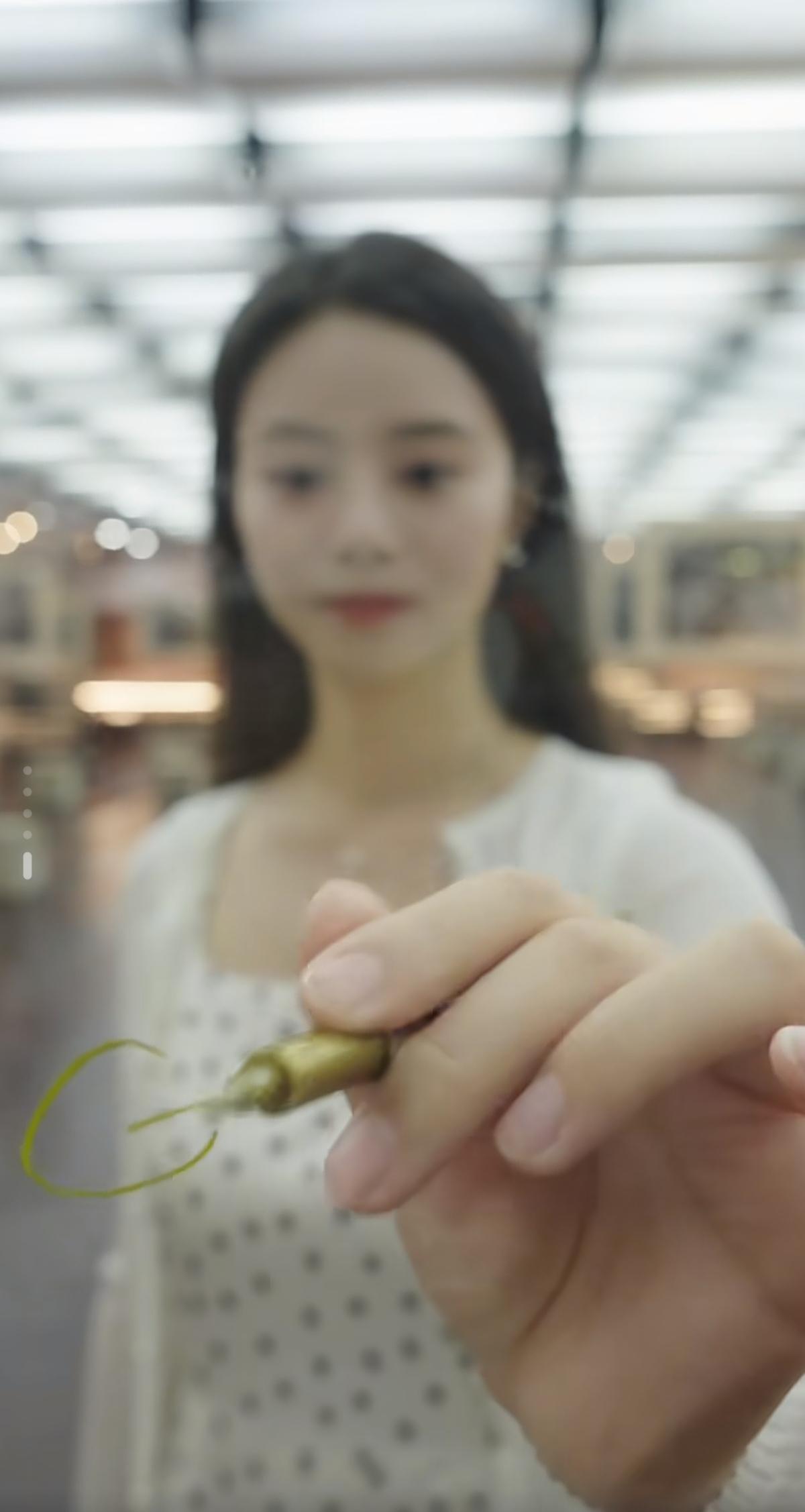 “与辉同行阅山河·吉林行”
鎏金，是长春的光影。
小贝今天中午在长春