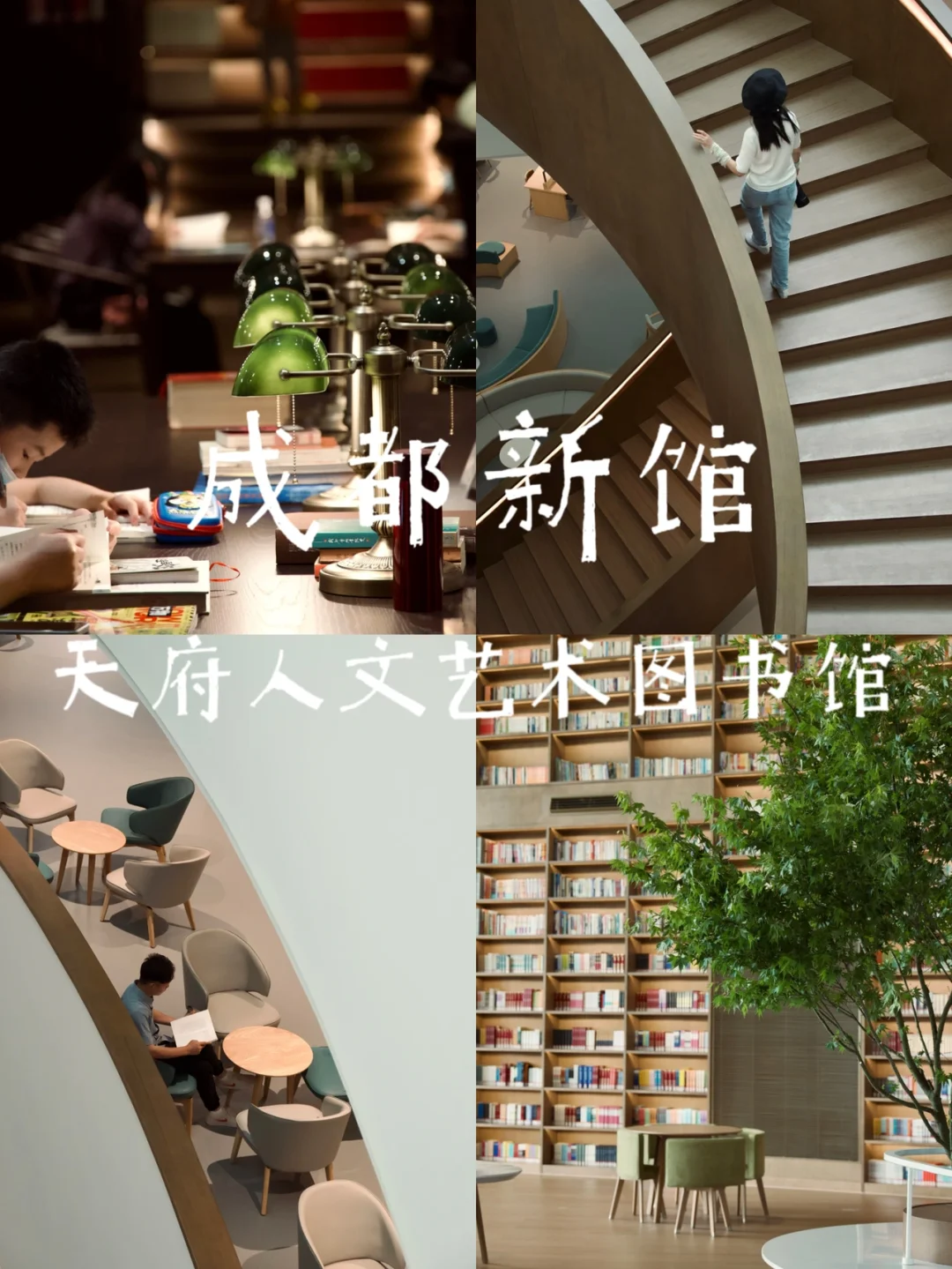 成都把杜甫的诗修成了图书馆📚内附详细攻略