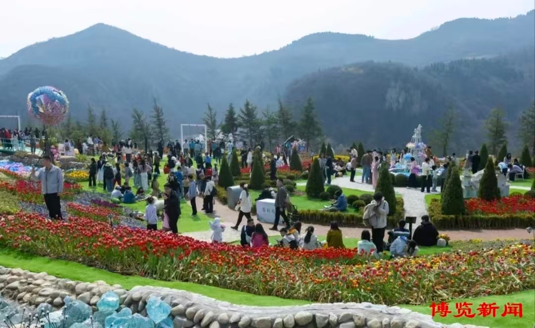 山东走在前挑大梁 从“一座城”的花海，看见“一个省”的担当——作为一名长期生活在