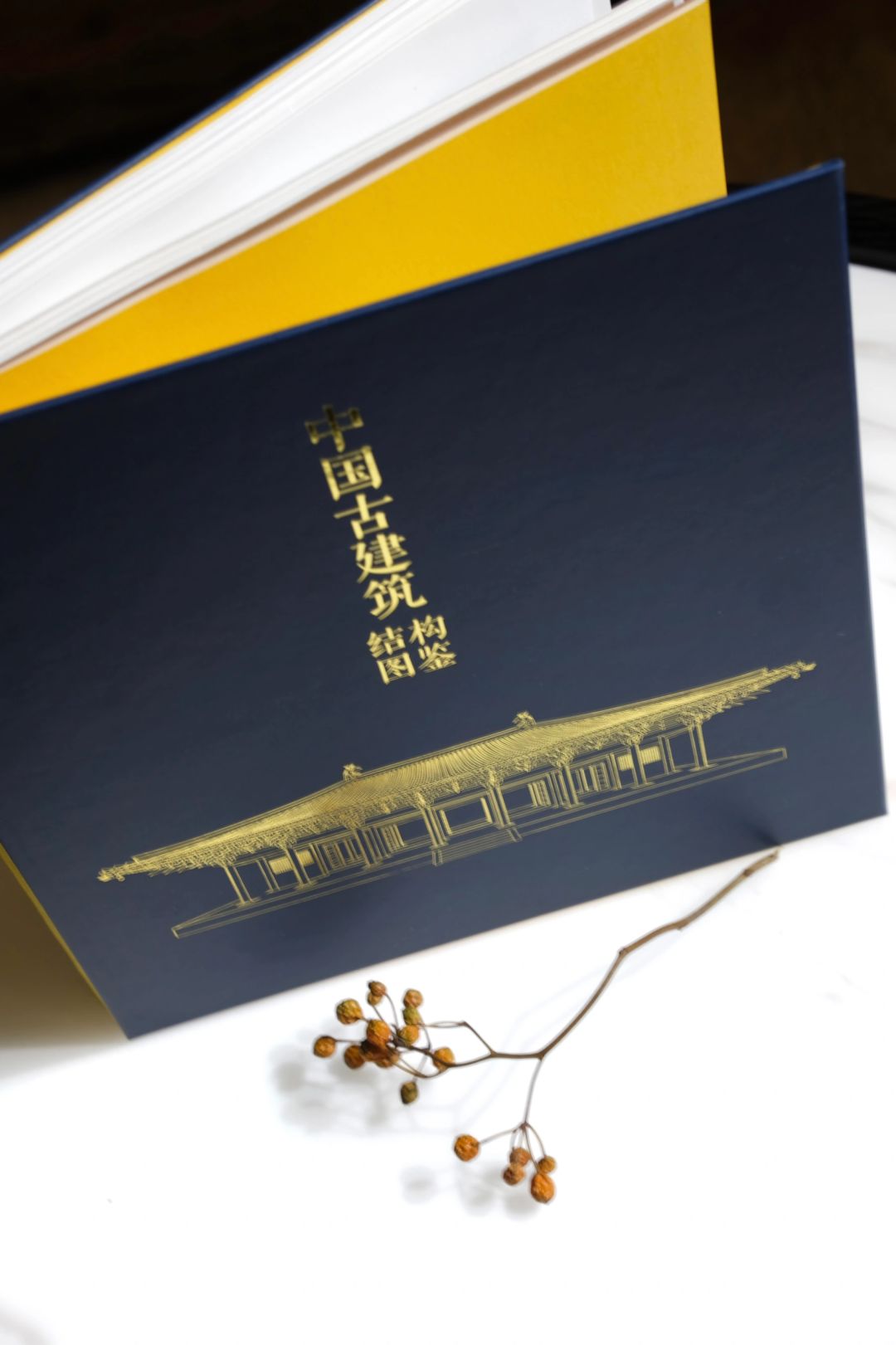 古建结构基础入门 📖🎨