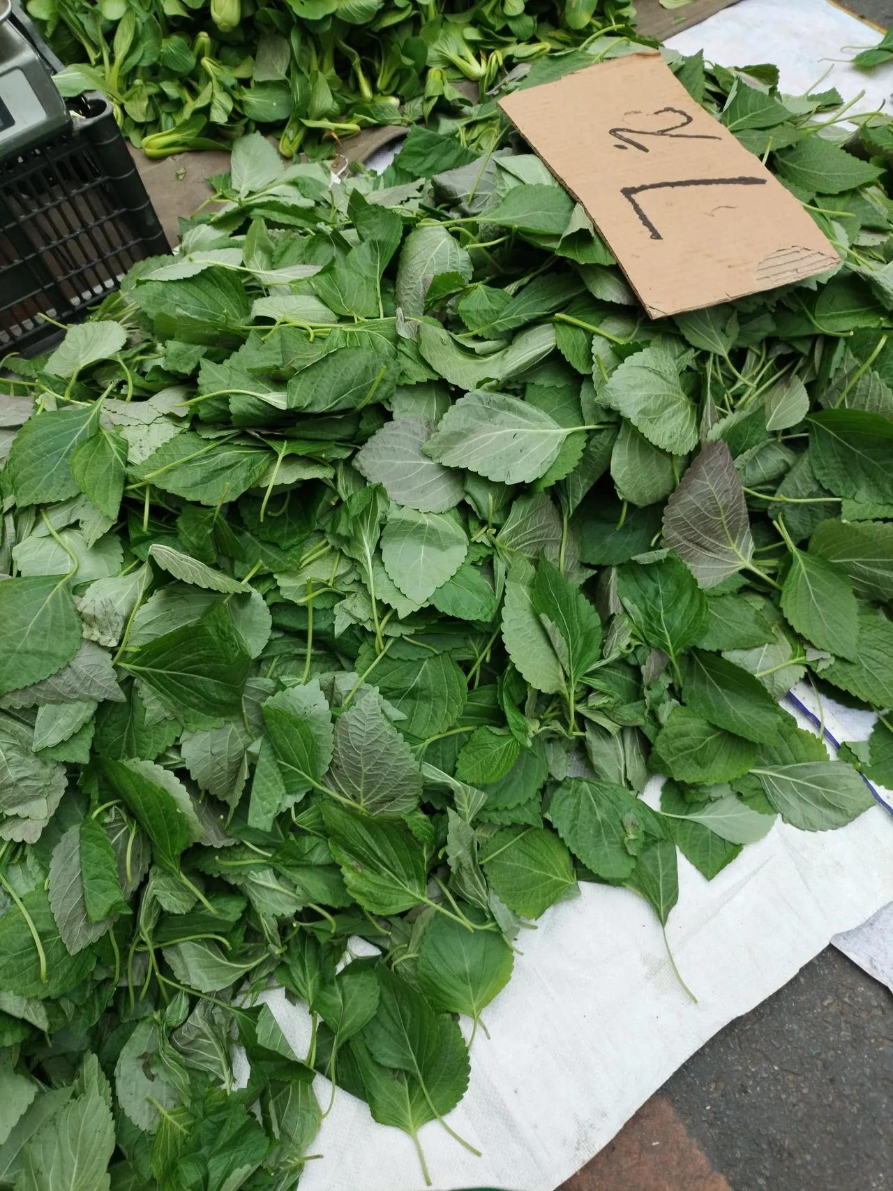 坐标沈阳铁西12路早市。

看见这菜7元钱一斤，这么贵。

这菜怎么吃啊？是熬汤