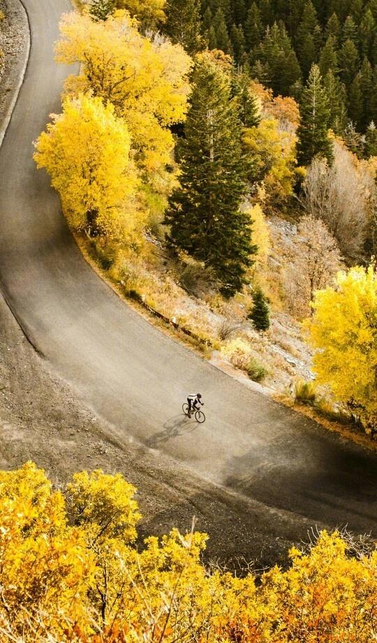 莫言说：人生没有太晚的开始，只有太早的放弃，你起步晚，未必没有好进展，你在人后，