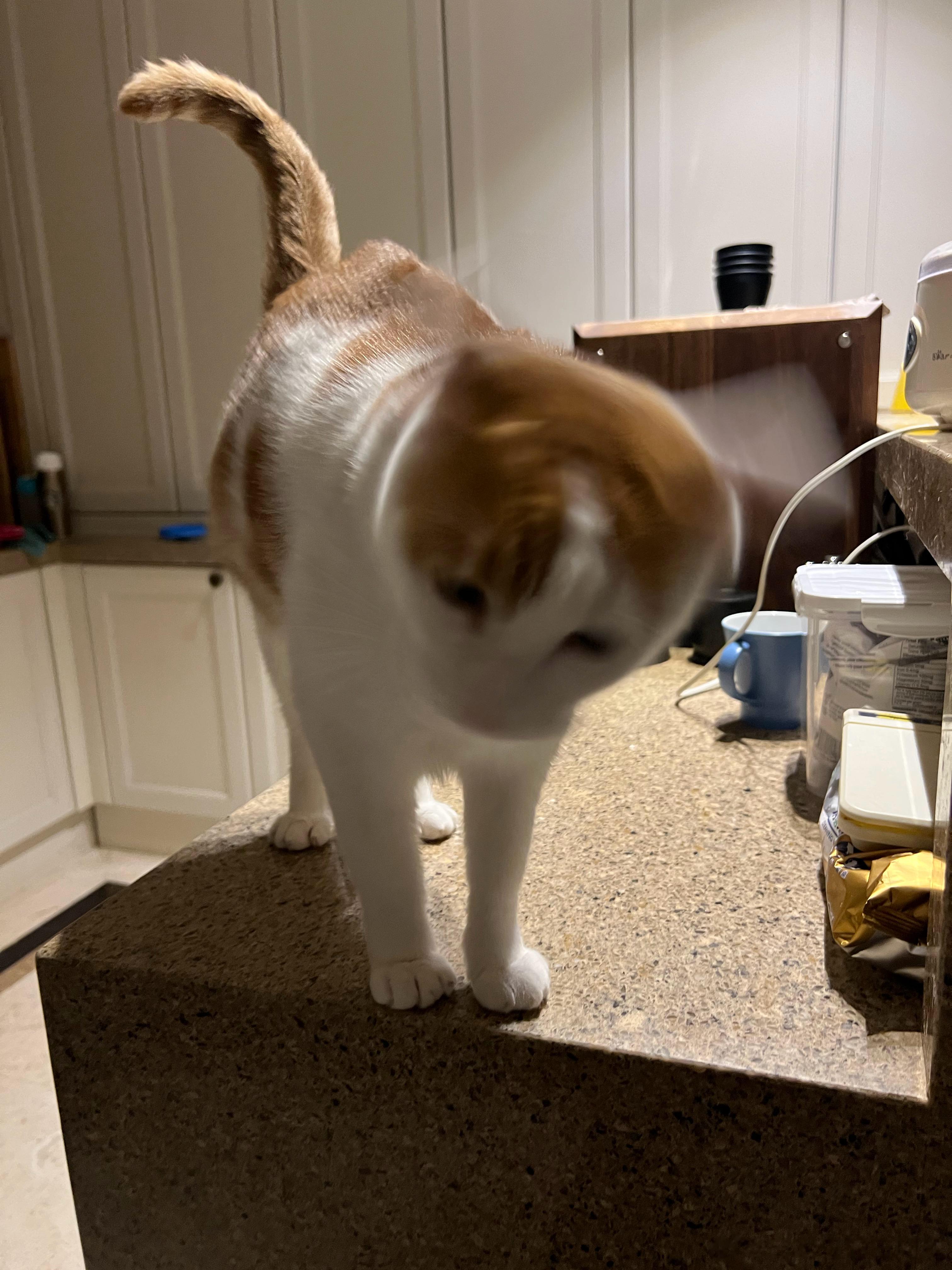 我问猴猴，今天还夜班吗？他说不了不了，今天可算轮休啦，喝点小酒切。 ​​​
