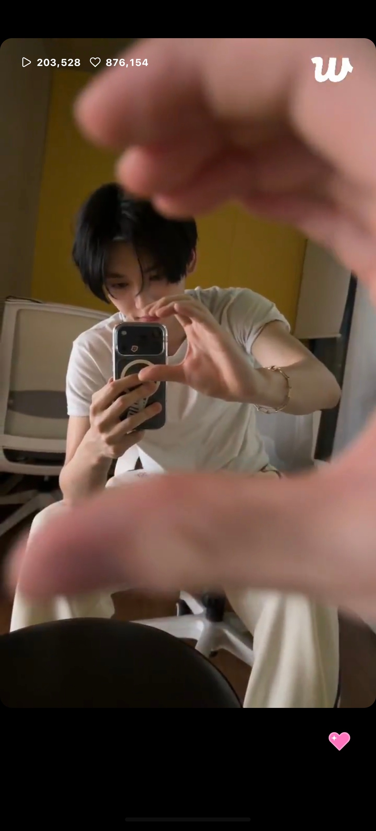 笨蛋 