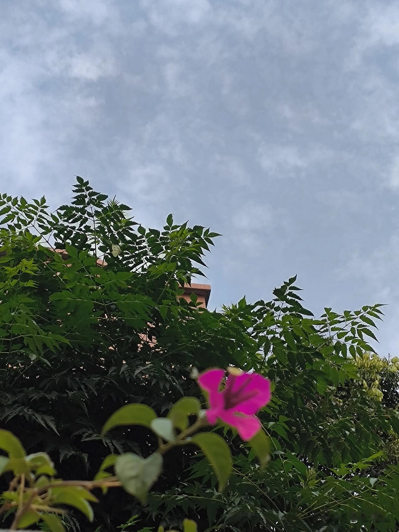 我一个人扛过了太多无声的痛，
早就不哭了，
后来遇见再大的风浪
都不觉得算什么，