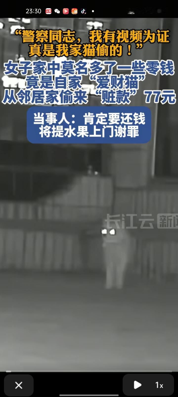 别人家的猫粘人卖萌，这只猫直接硬核“招财”，拜完财神的buff算是叠满了！

2