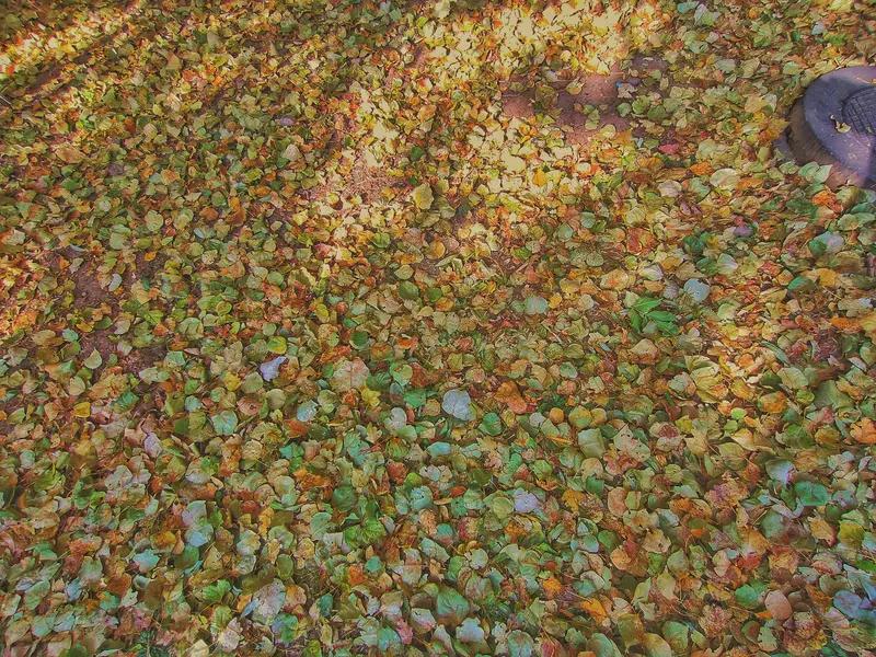 将生活的浪漫演绎到了极致！把烦心事折成纸飞机，让它向着彩虹飞去，这解压方式多么富