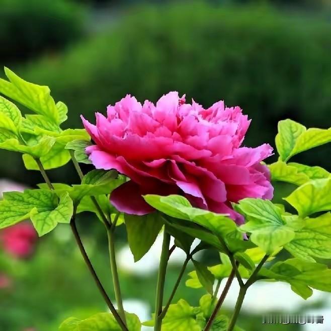 治愈自己的最好方式
 
1. 停止向外求，转向向内修
别人的安慰只是暂时止痛，自