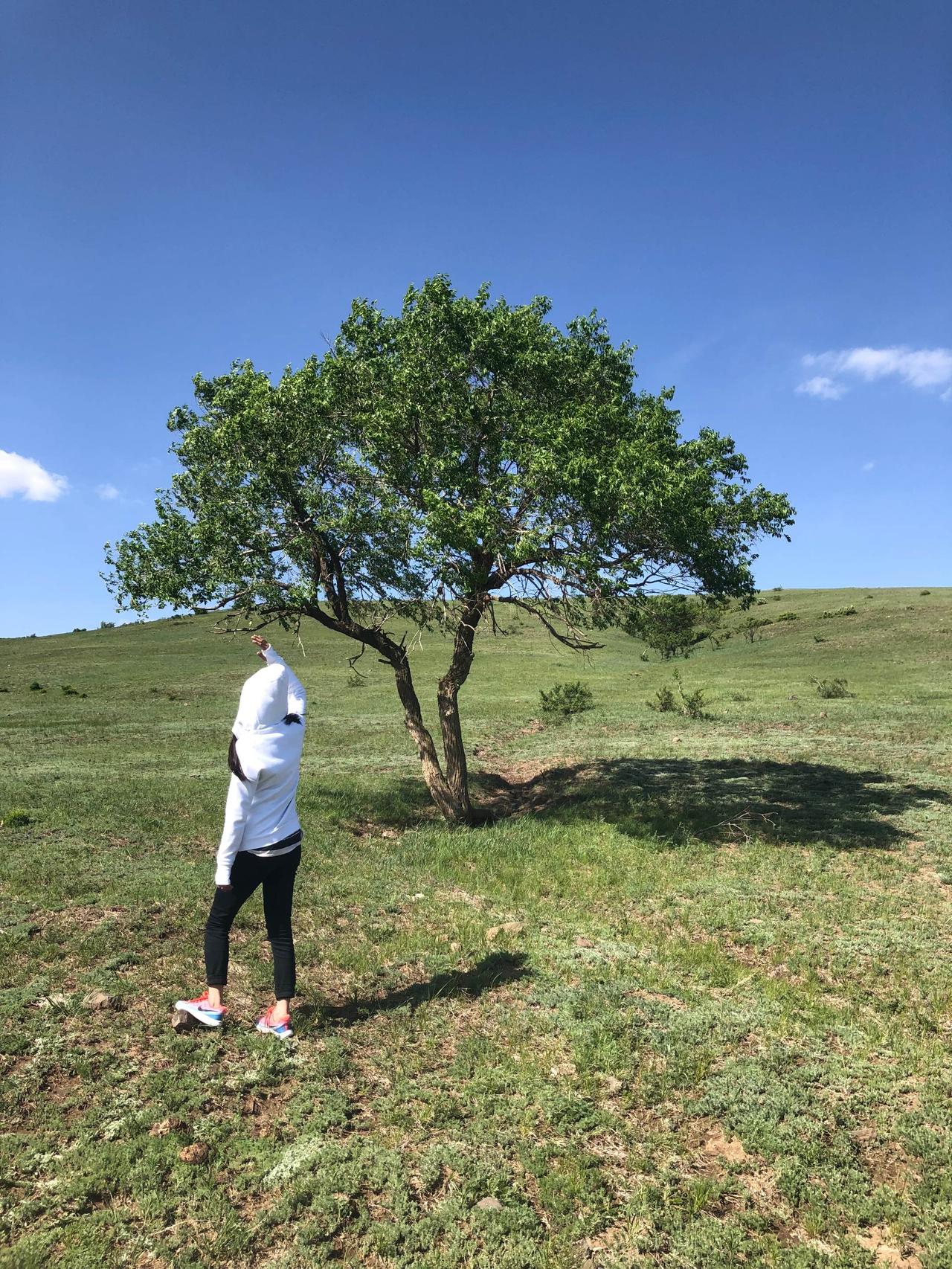 去经历。去后悔。去遗憾。去做自己喜欢的事