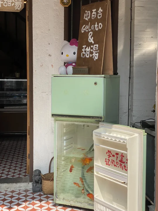 童话感🏡永远不会放弃再去厦门这条路的...