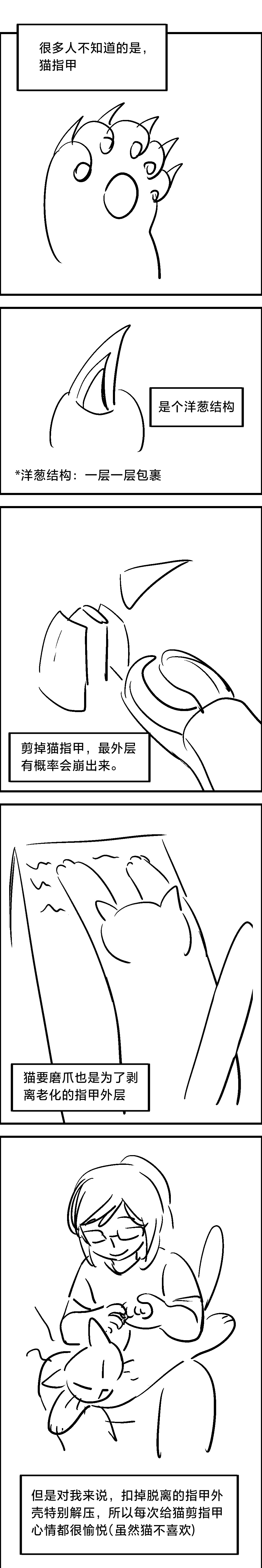 漫画60天挑战赛 day12 ​​​