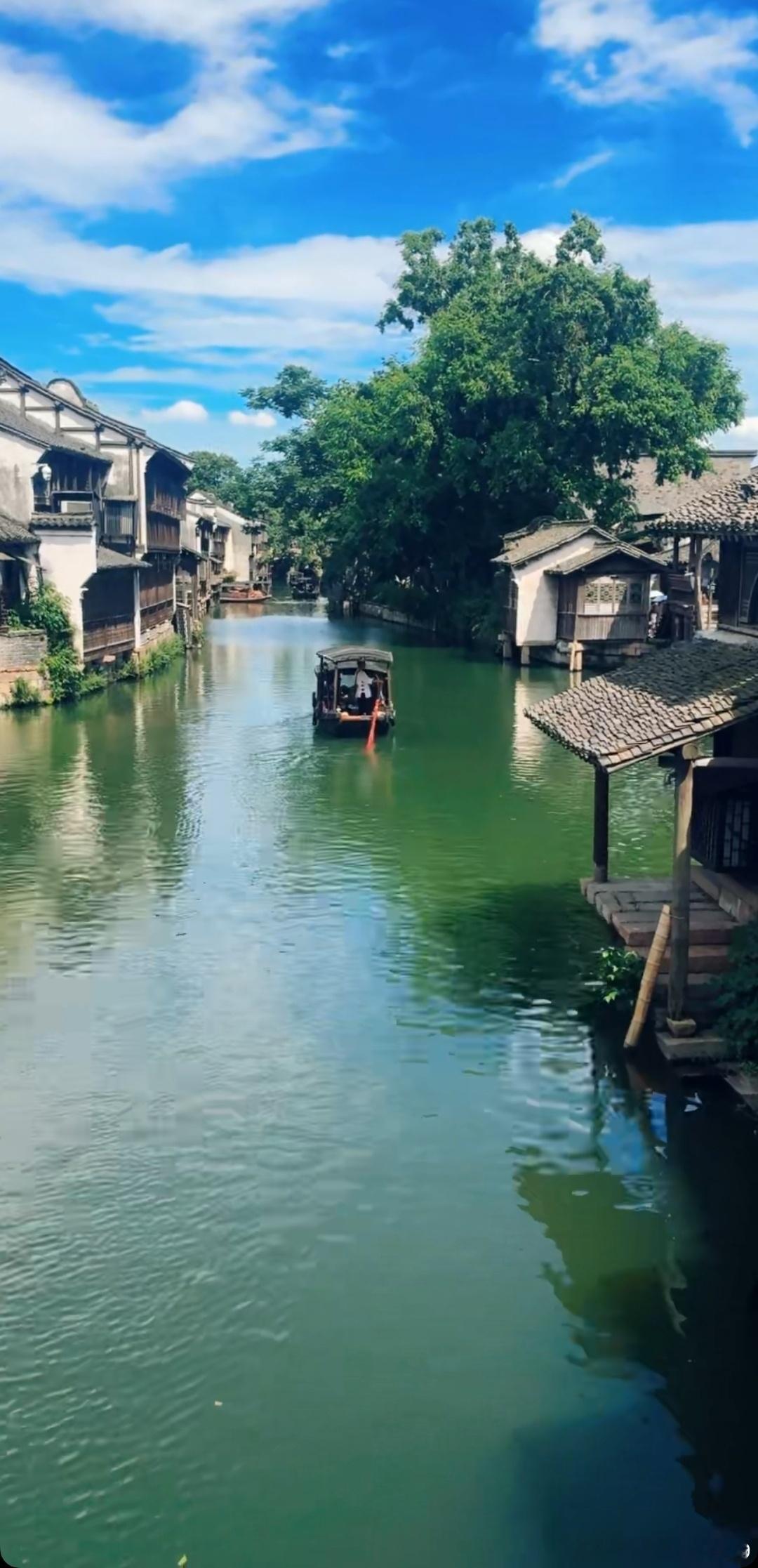 生活手记读书陆游的诗词选（一九一）家园小酌满林春笋生无数，竟日鸬鹚来百回。 衣上
