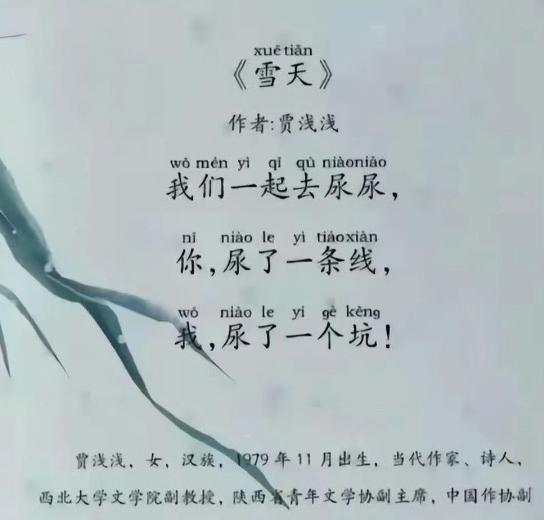 贾浅浅硕士学位被撤销